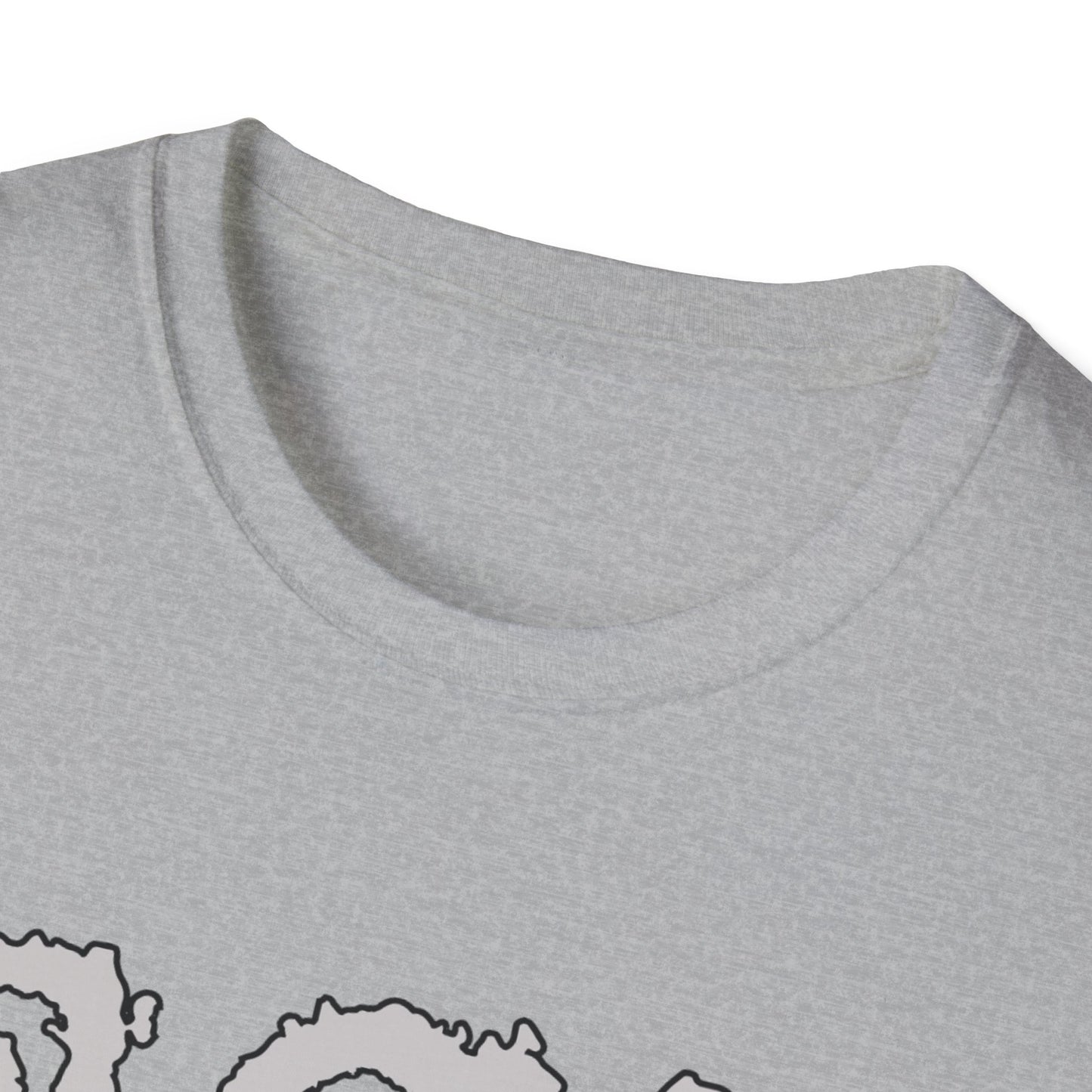 Gildan 6400: Unisex Softstyle T-Shirt