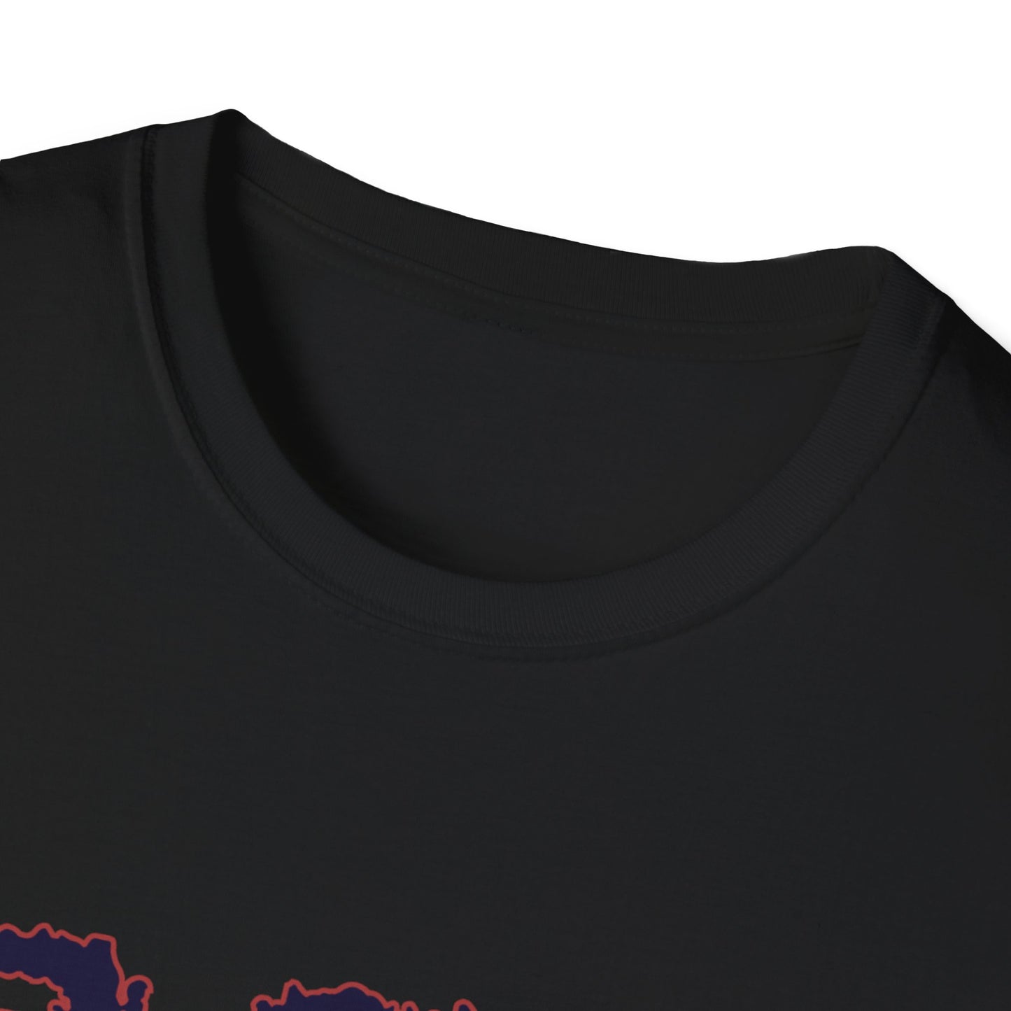 Gildan 6400: Unisex Softstyle T-Shirt