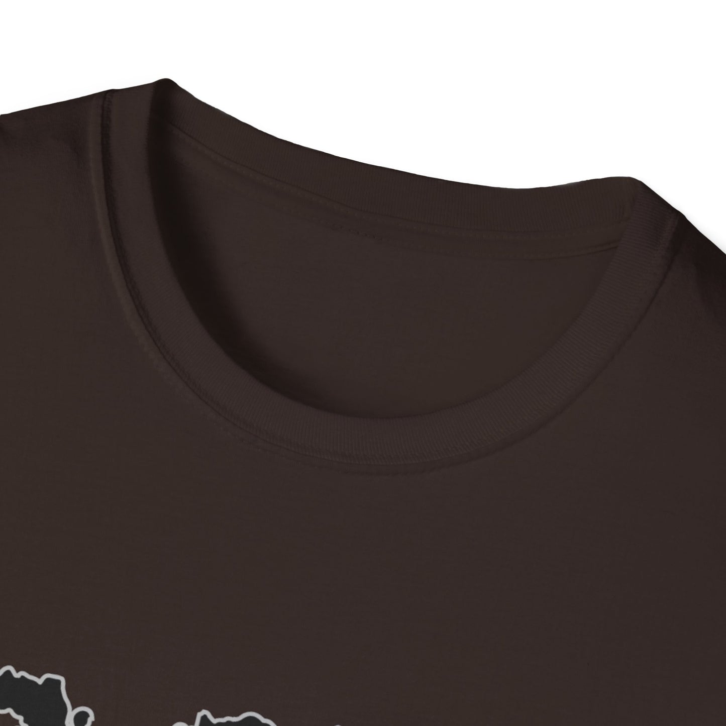 Gildan 6400: Unisex Softstyle T-Shirt
